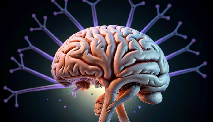 These overlooked brain cells may control fear and PTSD