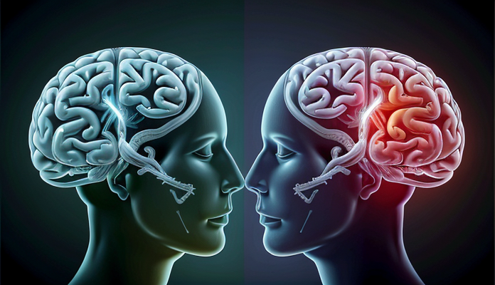 Scientists discover hidden brain switch that tells you to stop eating